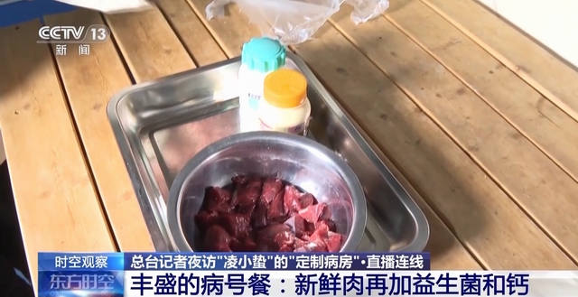 “命悬一线”的小雪豹“凌小蛰”做CT了 最新救治情况(图15)