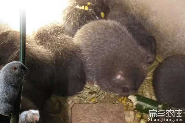 深化文旅融合 发展全域旅游(图1)