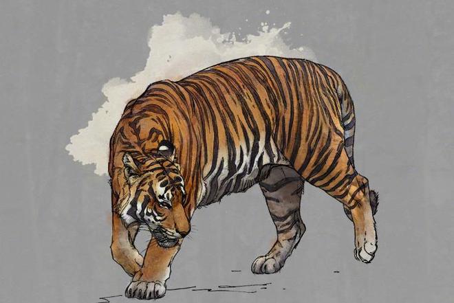 中国最遗憾的5种动物！灭绝前没有好好保护现在已经来不及(图4)