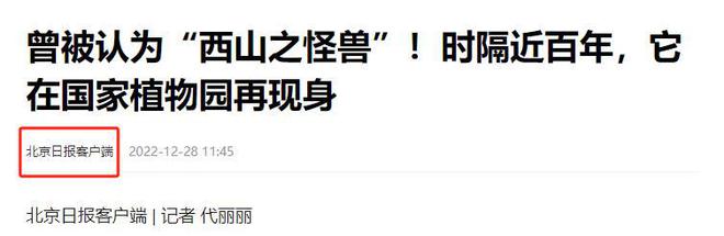 消失96年的“西山怪兽”！2022年国家植物园再次拍到会跺脚吓人(图1)
