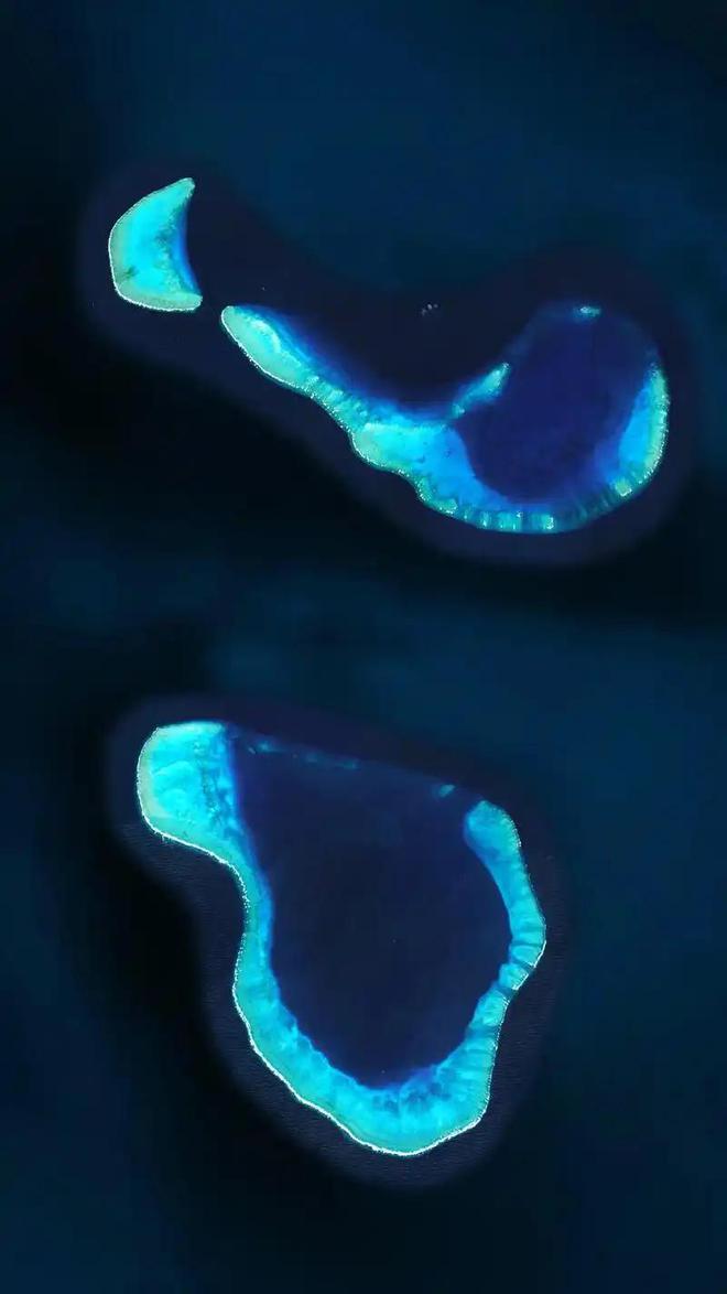 认为5000万年前就已绝迹2006年重新出现长10条腿体型却不大(图14)