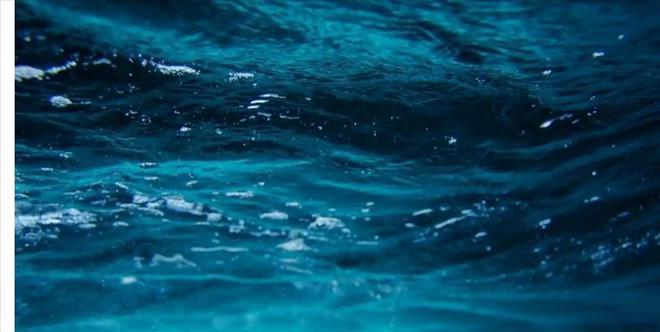 认为5000万年前就已绝迹2006年重新出现长10条腿体型却不大(图3)