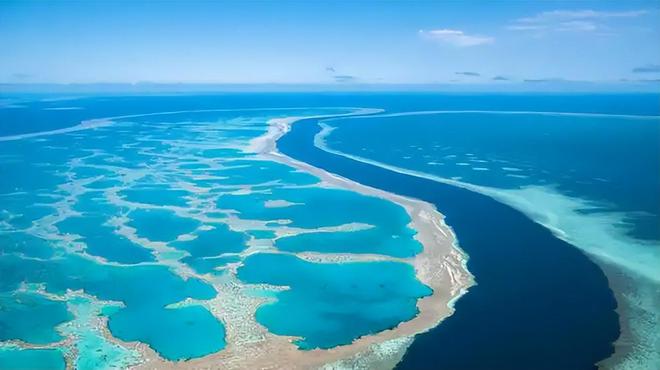 认为5000万年前就已绝迹2006年重新出现长10条腿体型却不大(图11)