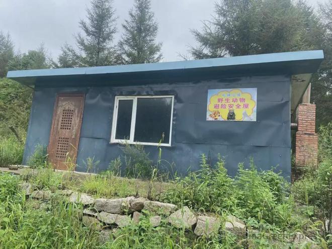 央视新闻报道的“避兽屋”竟来自绿会黑熊保护地志愿者的创意(图1)