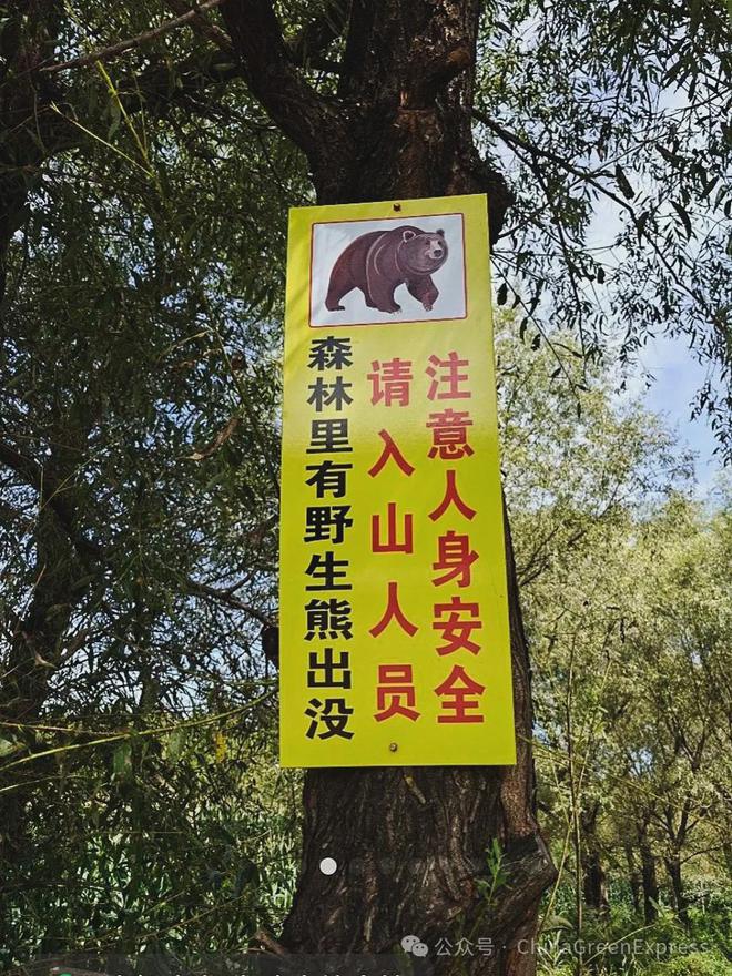 央视新闻报道的“避兽屋”竟来自绿会黑熊保护地志愿者的创意(图4)