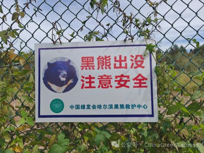 央视新闻报道的“避兽屋”竟来自绿会黑熊保护地志愿者的创意(图3)