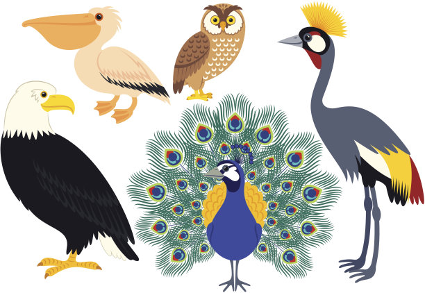 湖北荆州：守护“水中大熊猫”的繁育与回归(图1)