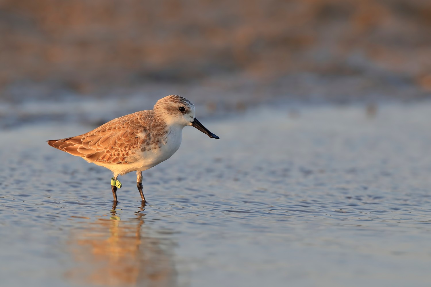 2024未来科学大奖年鉴及展望｜科学的篇章(图1)