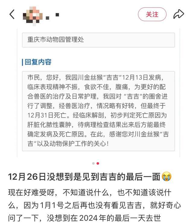 “吉吉”不幸死亡官方通报(图3)