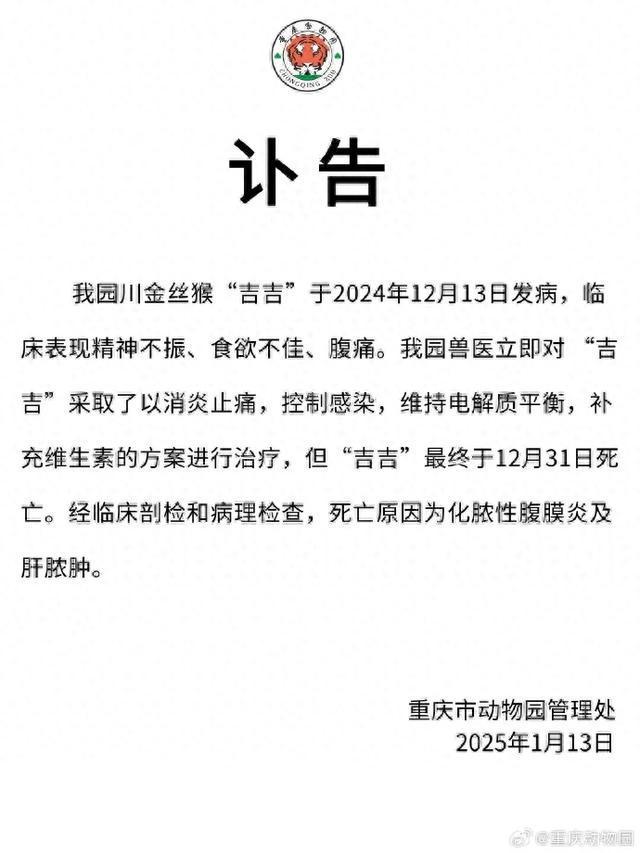 “吉吉”不幸死亡官方通报(图1)