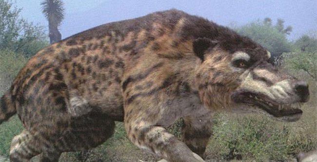 世界上已灭绝的十二种珍稀动物每一个都是国宝级的动物(图2)