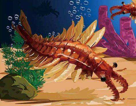 世界上已灭绝的十二种珍稀动物每一个都是国宝级的动物(图3)