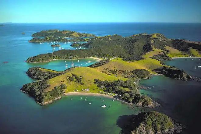 宣布灭绝的“大便超人”50年后重新出现一次能拉9米长粑粑(图2)