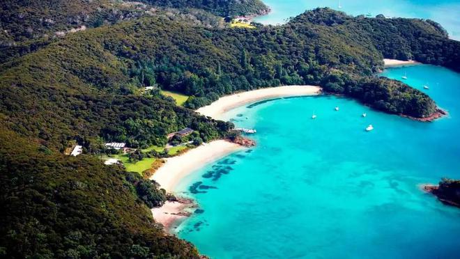 宣布灭绝的“大便超人”50年后重新出现一次能拉9米长粑粑(图3)