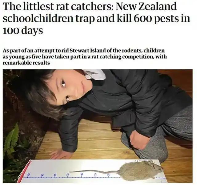 宣布灭绝的“大便超人”50年后重新出现一次能拉9米长粑粑(图16)