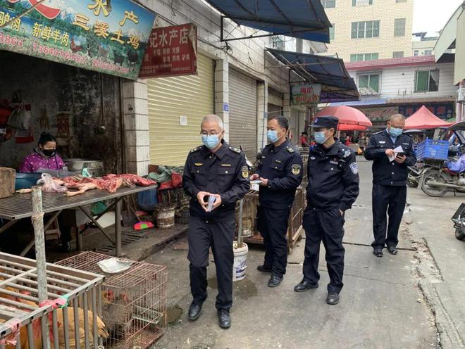 乐昌市：开展“网盾行动2024”打击野生动植物非法贸易联合行动(图1)