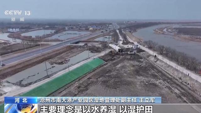 “珍稀访客”频亮相 去年我国越冬水鸟监测数量创新高(图8)