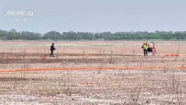 “珍稀访客”频亮相 去年我国越冬水鸟监测数量创新高(图7)