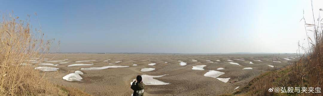 长江首次发现无爪蜉新物种取名“苏轼”(图4)