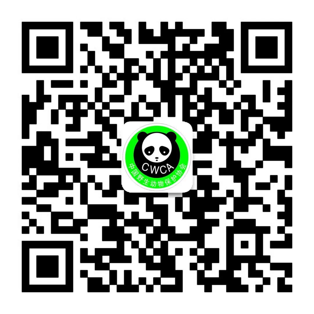 中国野生动物保护协会官方网站 野生世界栏目 征稿启事(图1)