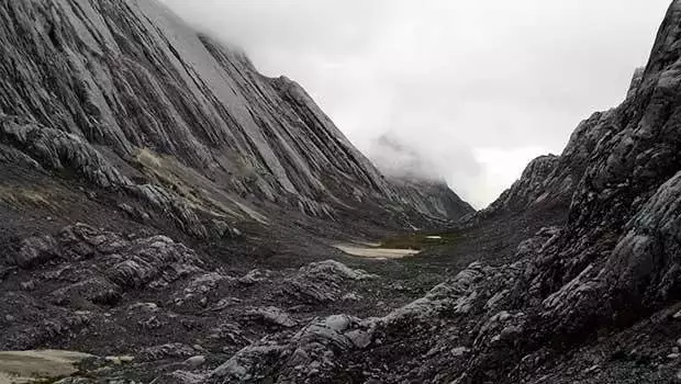 被认为已灭绝的古老犬种现在隐秘山区发现(图1)
