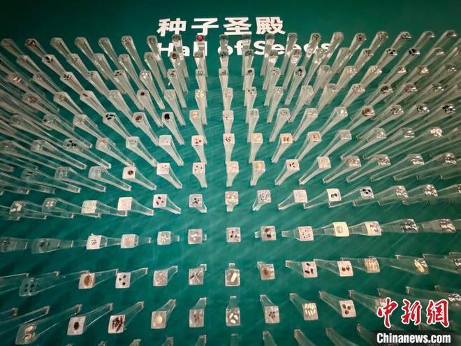 《中国生物物种名录2024版》发布共收录物种及种下单元超15万个(图2)