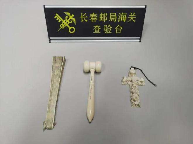 长春海关查获濒危动物制品 警钟长鸣！(图2)