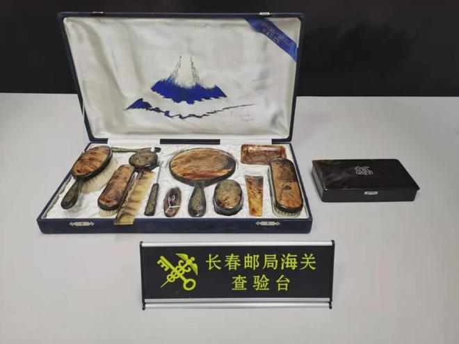 长春海关查获濒危动物制品 警钟长鸣！(图1)