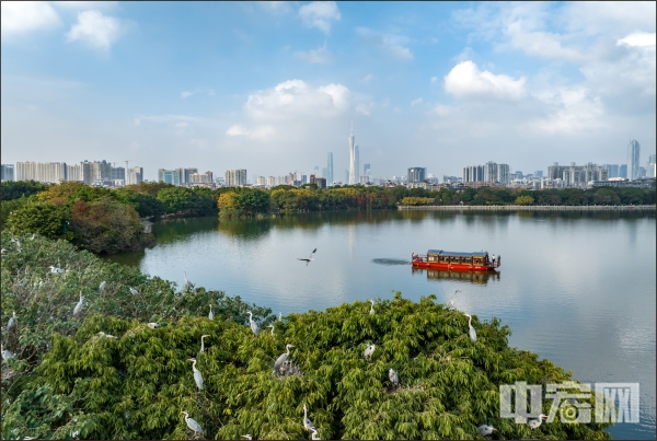 “生物多样性你我共参与”(图2)