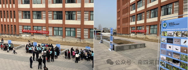 济宁市南四湖自然保护区服务中心开展“世界野生动植物日”主题宣传活动(图1)