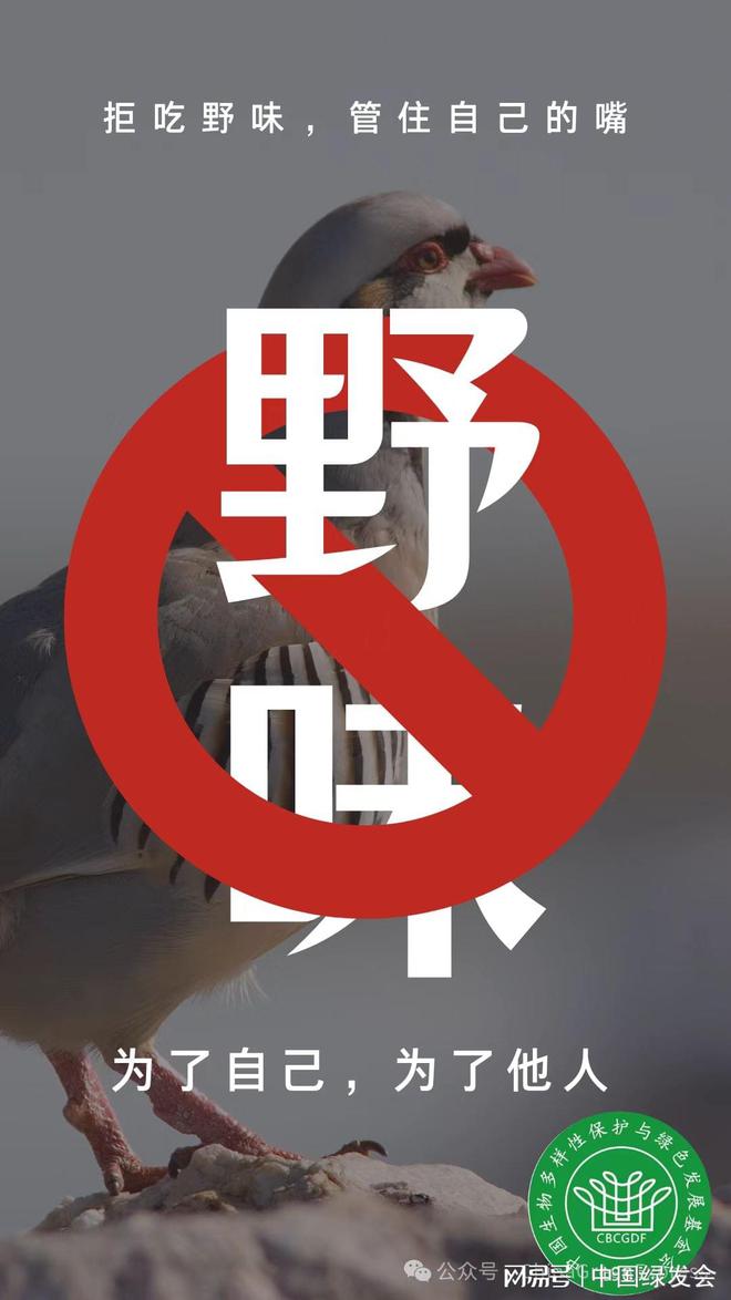 和谐中国年从自觉抵制“野味”开始(图1)
