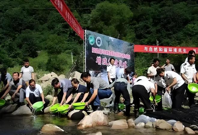 2022年濒危动物在秦岭“泛滥”黑河水被染黑为何还在放生(图11)