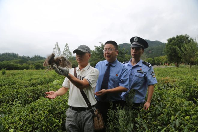 世界野生动植物日 “生态检察+公益诉讼”为野生动植物撑起“保护伞”(图4)