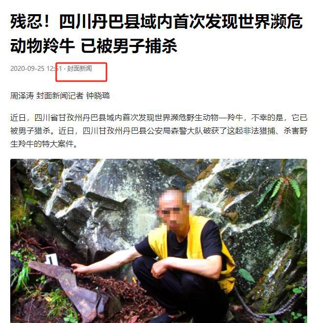 世界公认濒危动物！2020年四川单巴首次发现几个月大就被猎杀(图5)
