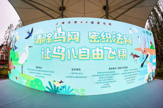上海已记录到534种野鸟！“爱鸟周”今开启相关部门：严厉打击破坏野生动植物资源违法行为(图4)