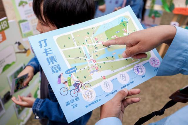 上海已记录到534种野鸟！“爱鸟周”今开启相关部门：严厉打击破坏野生动植物资源违法行为(图5)