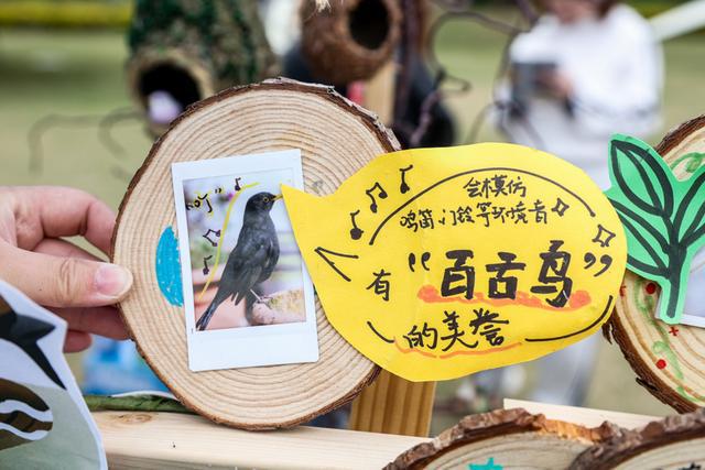 上海已记录野生鸟类534种多次发现罕见鸟类(图2)
