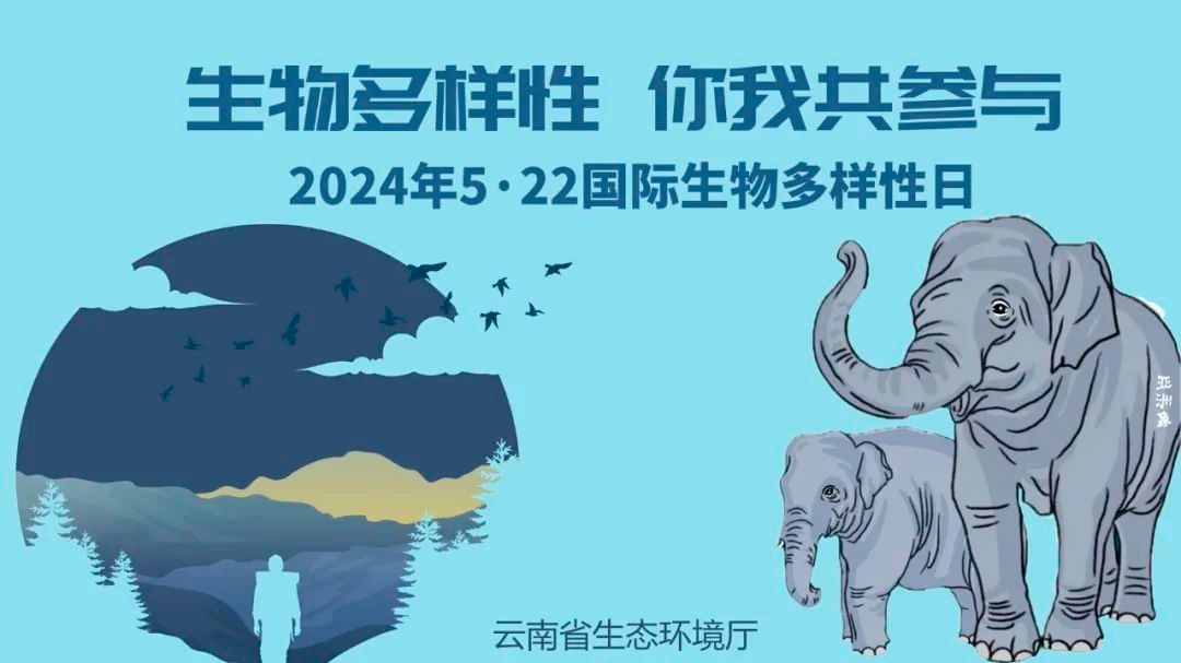 2024年“国际生物多样性日”南昌系列宣传活动启动(图1)