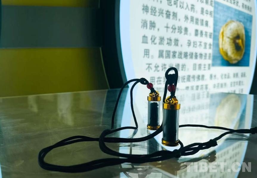 米林的精灵：小林麝带来大收益(图2)