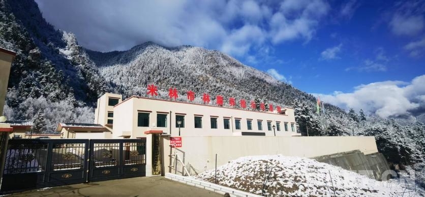 米林的精灵：小林麝带来大收益(图4)