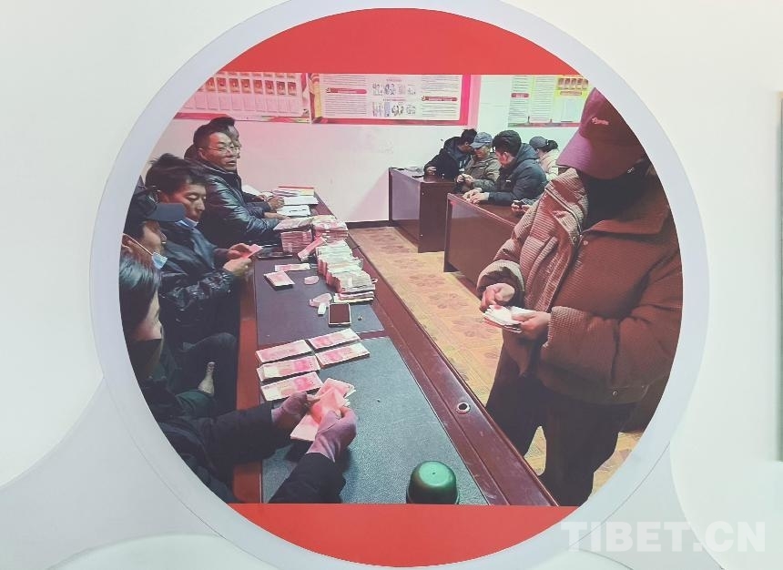 米林的精灵：小林麝带来大收益(图5)