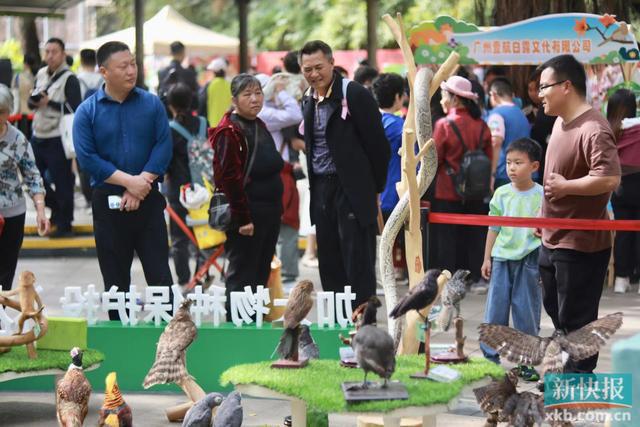 世界野生动植物日来了温馨提示：眼下候鸟正在广州请保护它们(图2)