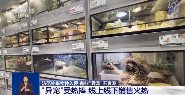 有些“异宠”不宜宠 专家：购买饲养前要做到“三查”(图2)