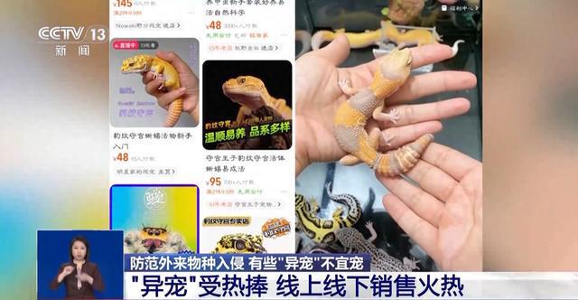 有些“异宠”不宜宠 专家：购买饲养前要做到“三查”(图1)