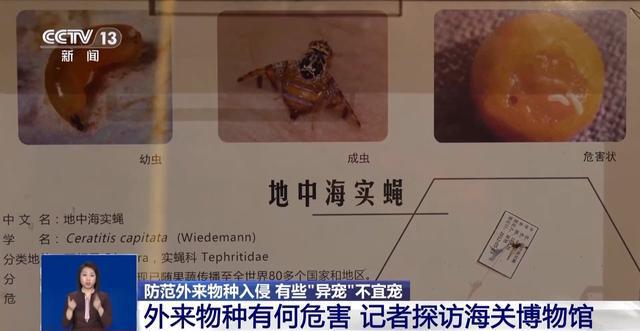 有些“异宠”不宜宠 专家：购买饲养前要做到“三查”(图10)