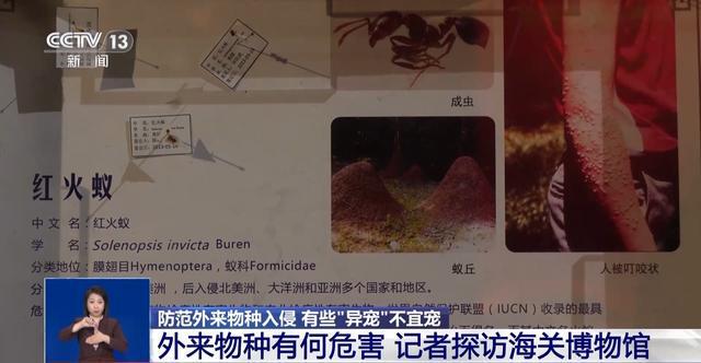 有些“异宠”不宜宠 专家：购买饲养前要做到“三查”(图9)