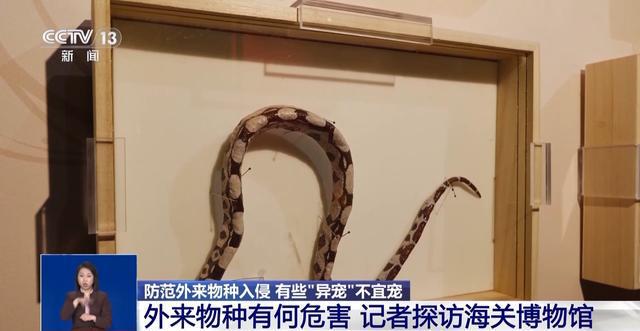 有些“异宠”不宜宠 专家：购买饲养前要做到“三查”(图8)