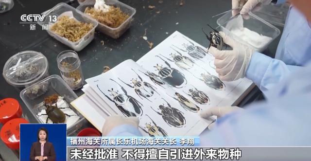 有些“异宠”不宜宠 专家：购买饲养前要做到“三查”(图13)