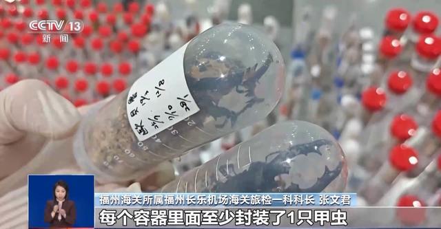有些“异宠”不宜宠 专家：购买饲养前要做到“三查”(图11)