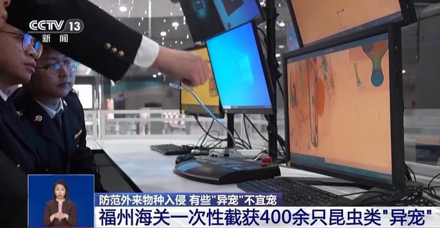 有些“异宠”不宜宠 专家：购买饲养前要做到“三查”(图14)